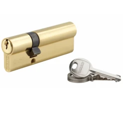 Cylindre De Serrure à Profil Européen Thirard - 30 X 60 Mm