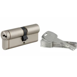 Cylindre Thirard Transit 1 - Nickel Velours - 35 X 50 Mm